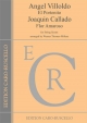 Villoldo, Angel - El Portenito / Callado, Joaquin - Flor Amorosa - for String Sextet